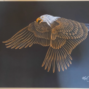 Painting-Medicine Wise Wings(1,600$)