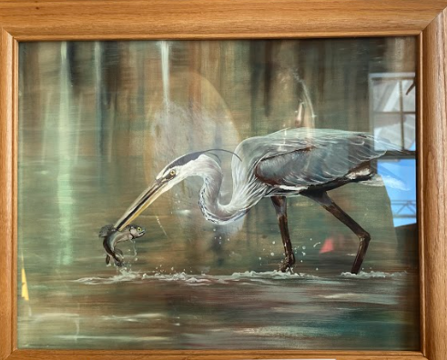 Framed Print-Blue Heron(150$)
