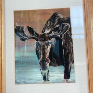 Framed Print-Moose(150$)
