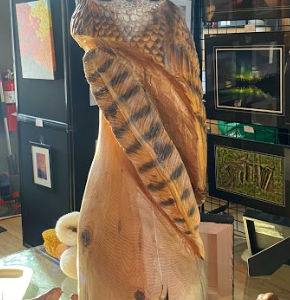 Owl (600$)